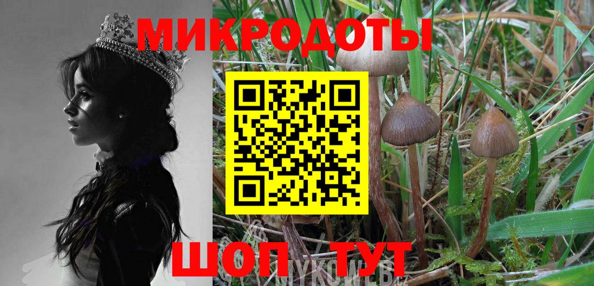 Галлюциногенные грибы MAGIC MUSHROOMS  Вход с VPN  дарнет шоп  Красноуфимск 