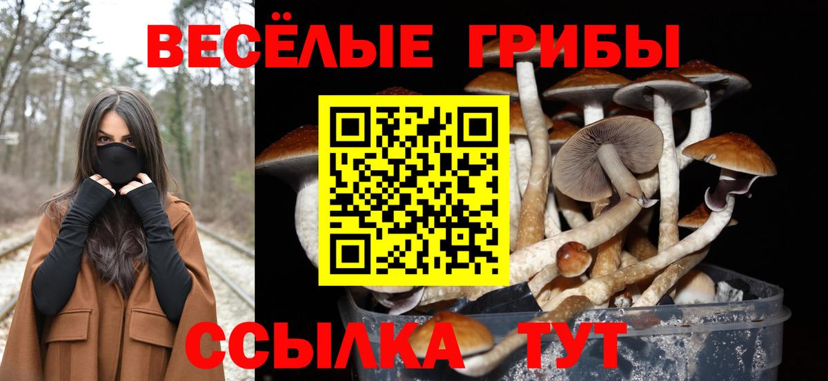 Псилоцибиновые грибы MAGIC MUSHROOMS Красноуфимск
